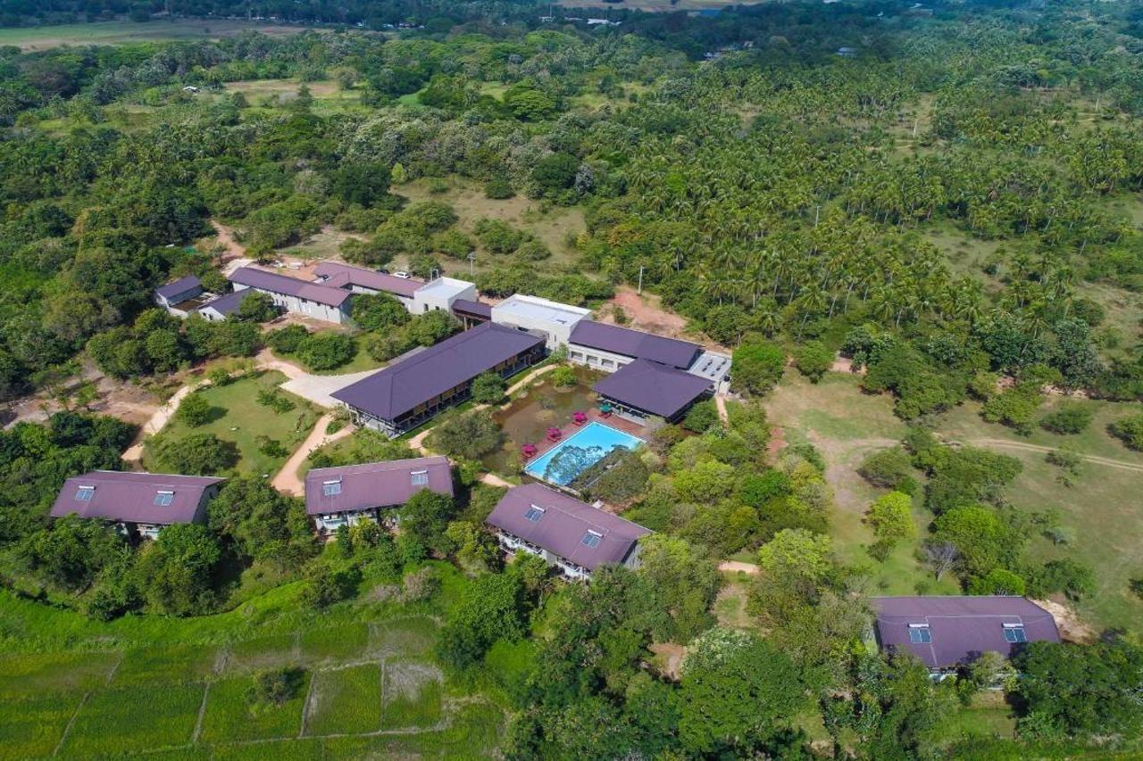 Tropical Life Resort And Spa Дамбулла Екстер'єр фото