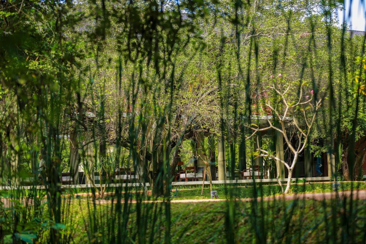 Tropical Life Resort And Spa Дамбулла Екстер'єр фото