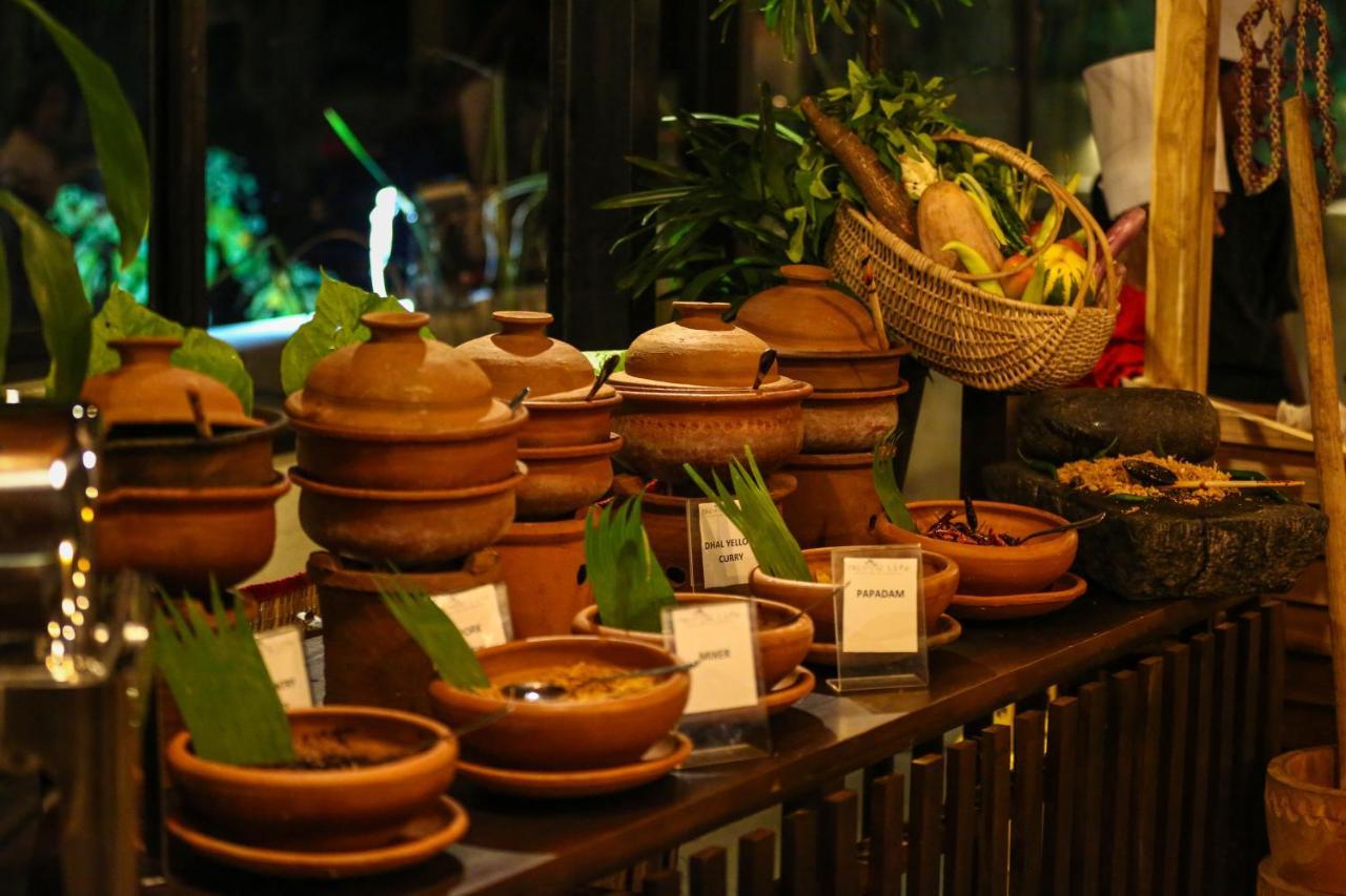 Tropical Life Resort And Spa Дамбулла Екстер'єр фото